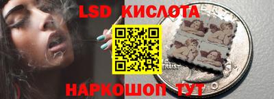 шишки Будённовск