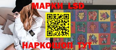 шишки Будённовск