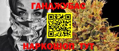 шишки Будённовск