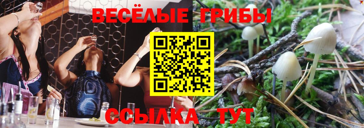 Дятьково  Галлюциногенные грибы мухоморы  Вход с VPN 